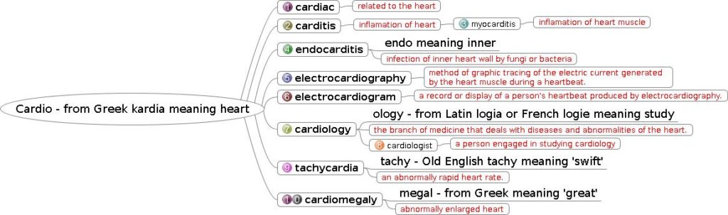 Learn English Vocabulary - Cardio