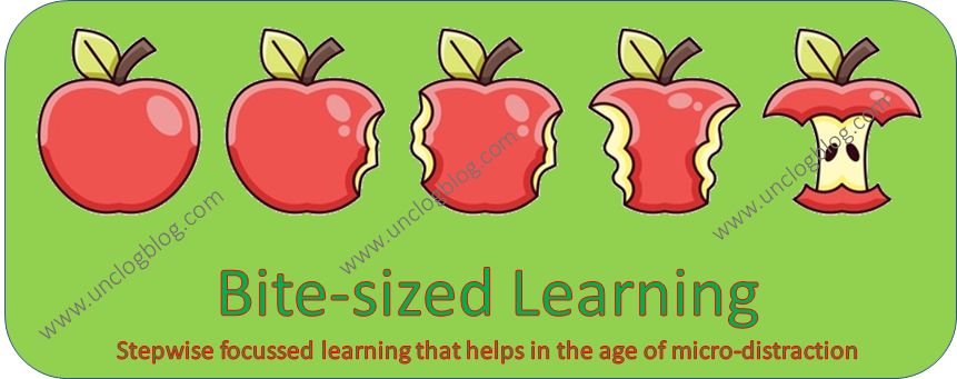 Bite-sized Learning - A radically new concept in education